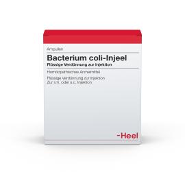 Bacterium Coli Injeel Ampullen